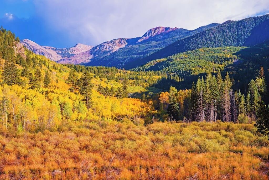 Photo of Others in Intermountain