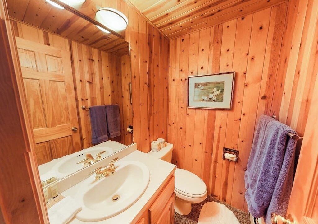 Photo of Bathroom in Basalt