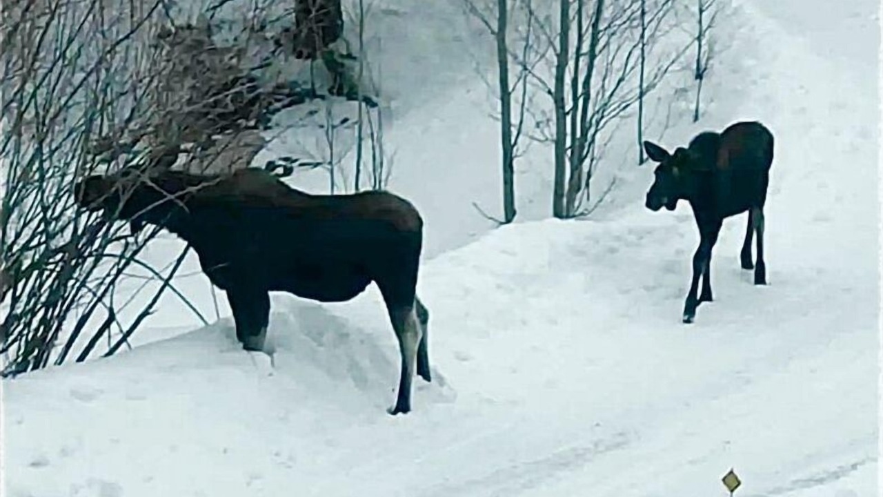 Photo of Others in Grand Lake