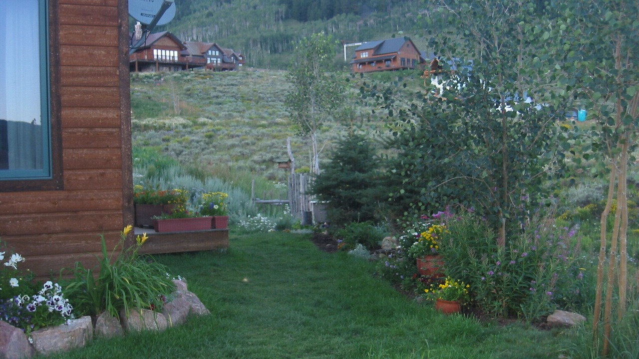 Photo of Others in Crested Butte South