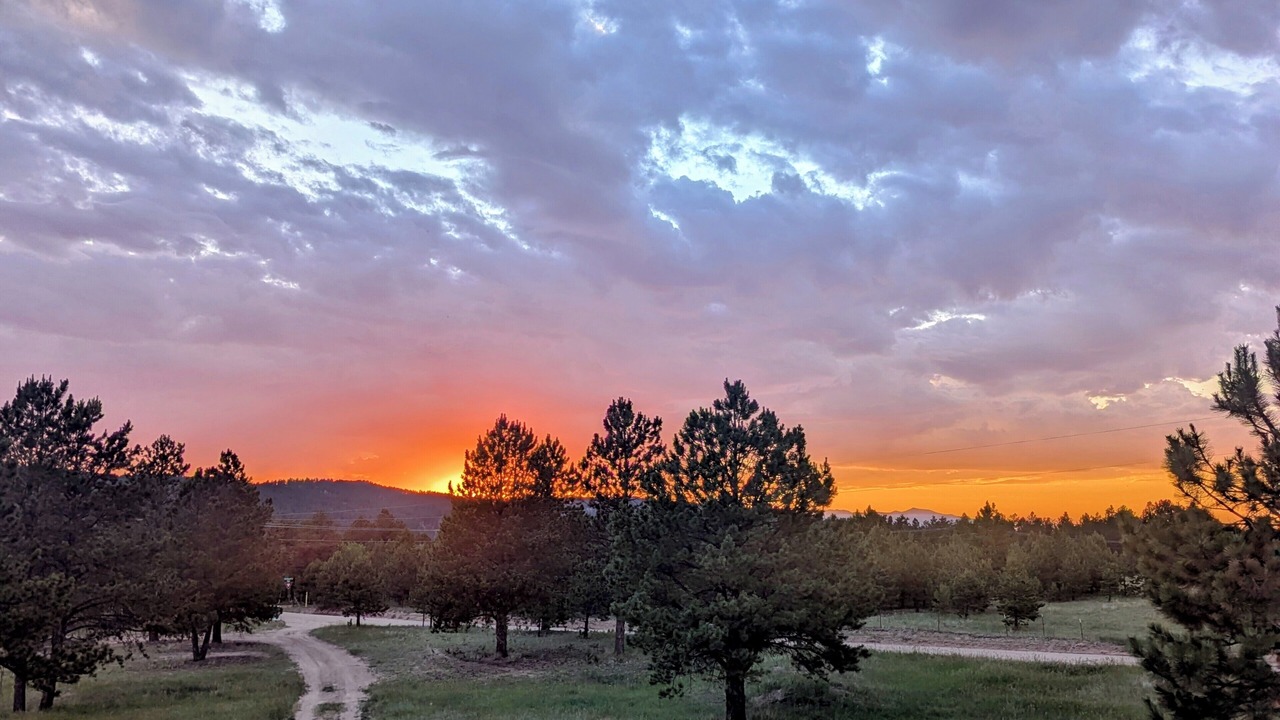 Photo of Outdoor in Woodland Park