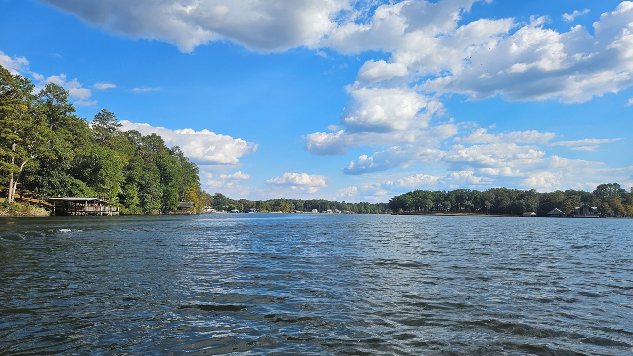 Photo of Others in Covington County