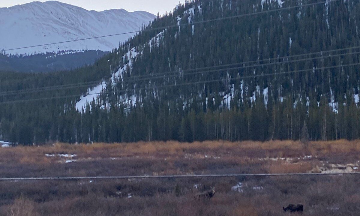 Photo of Others in Breckenridge