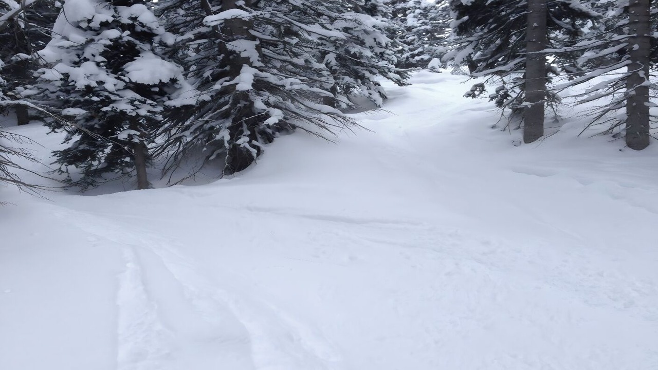 Photo of Others in Steamboat Springs