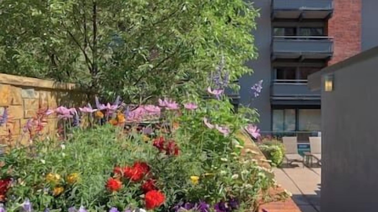 Photo of Outdoor in Downtown
