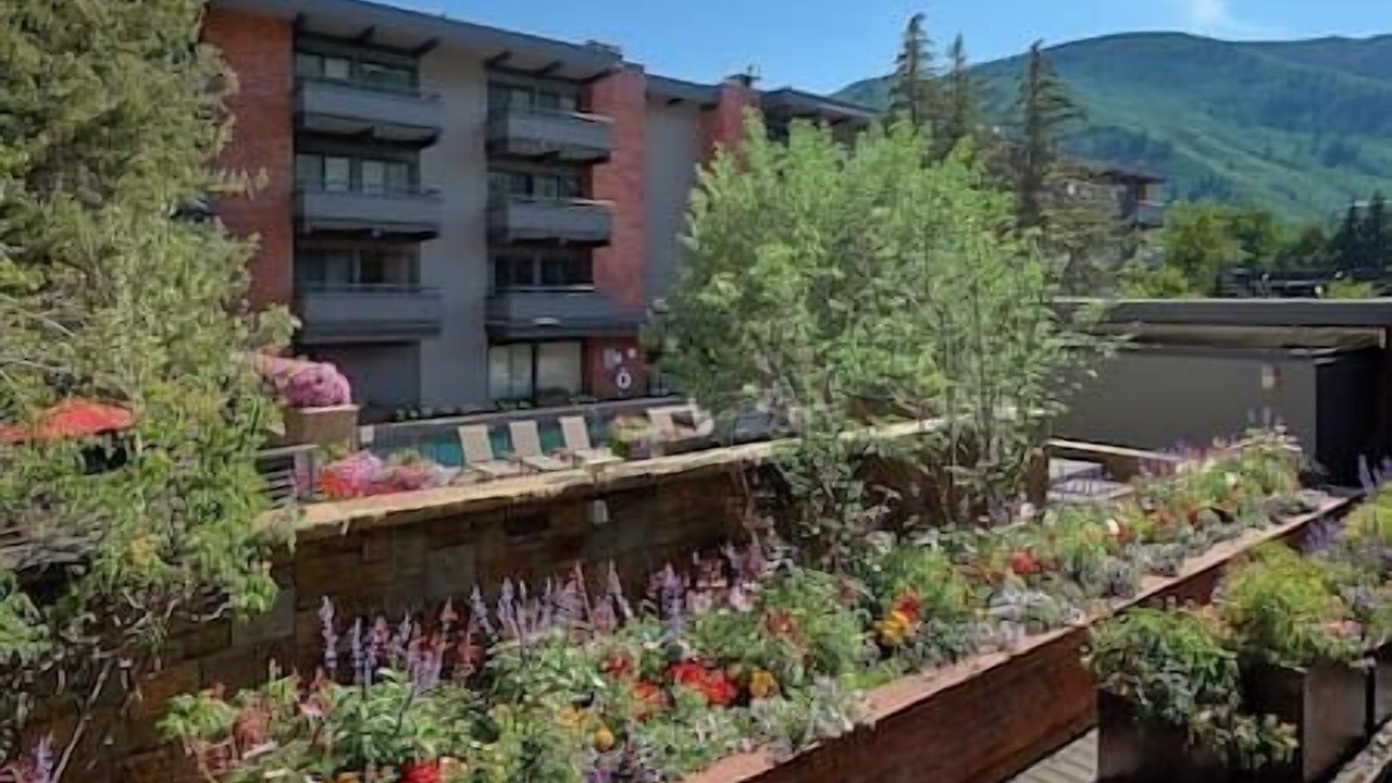 Photo of Outdoor in Downtown