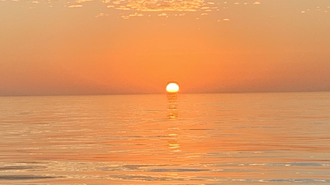 Photo of Others in Marco Island