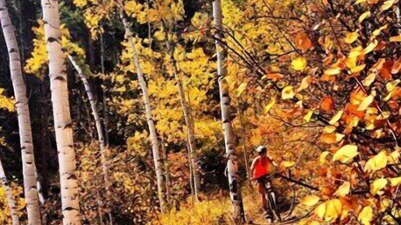Photo of Outdoor in Beaver Creek