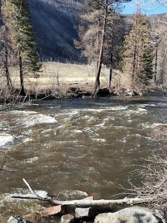 Photo of Others in Bellvue