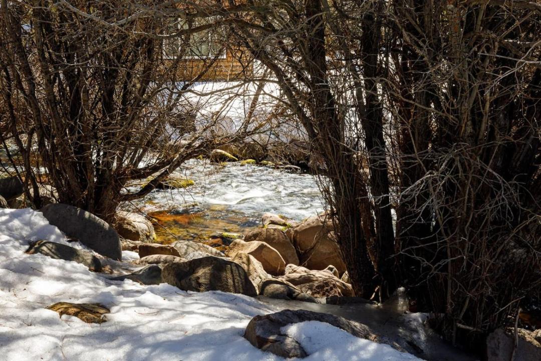 Photo of Others in Mammoth Creek