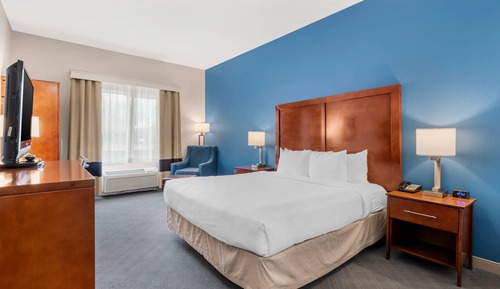 Room, 1 King Bed, Accessible, Non Smoking