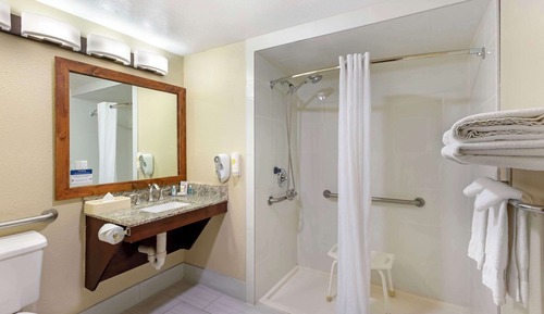 Room, 1 King Bed, Accessible, Non Smoking