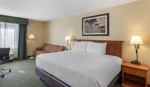 Standard Room, 1 King Bed, Non Smoking (with Sofabed)