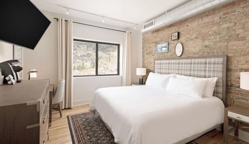 Room, 1 King Bed, Mountain View