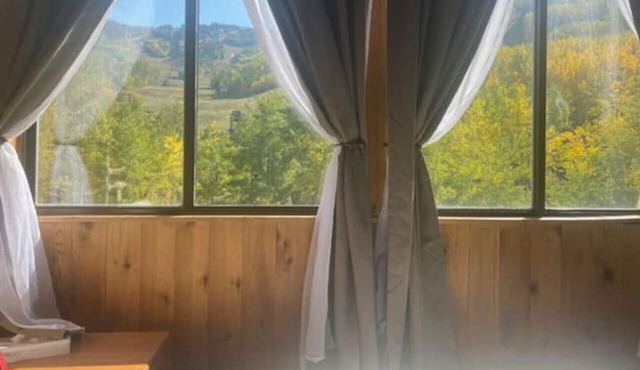 Mountain View Room #12