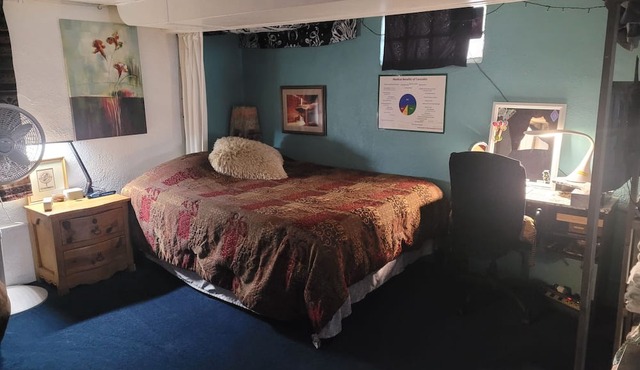 Artistic, clean Lg Basement Studio W/24hr Hottub & Lg private yard. City Oasis.